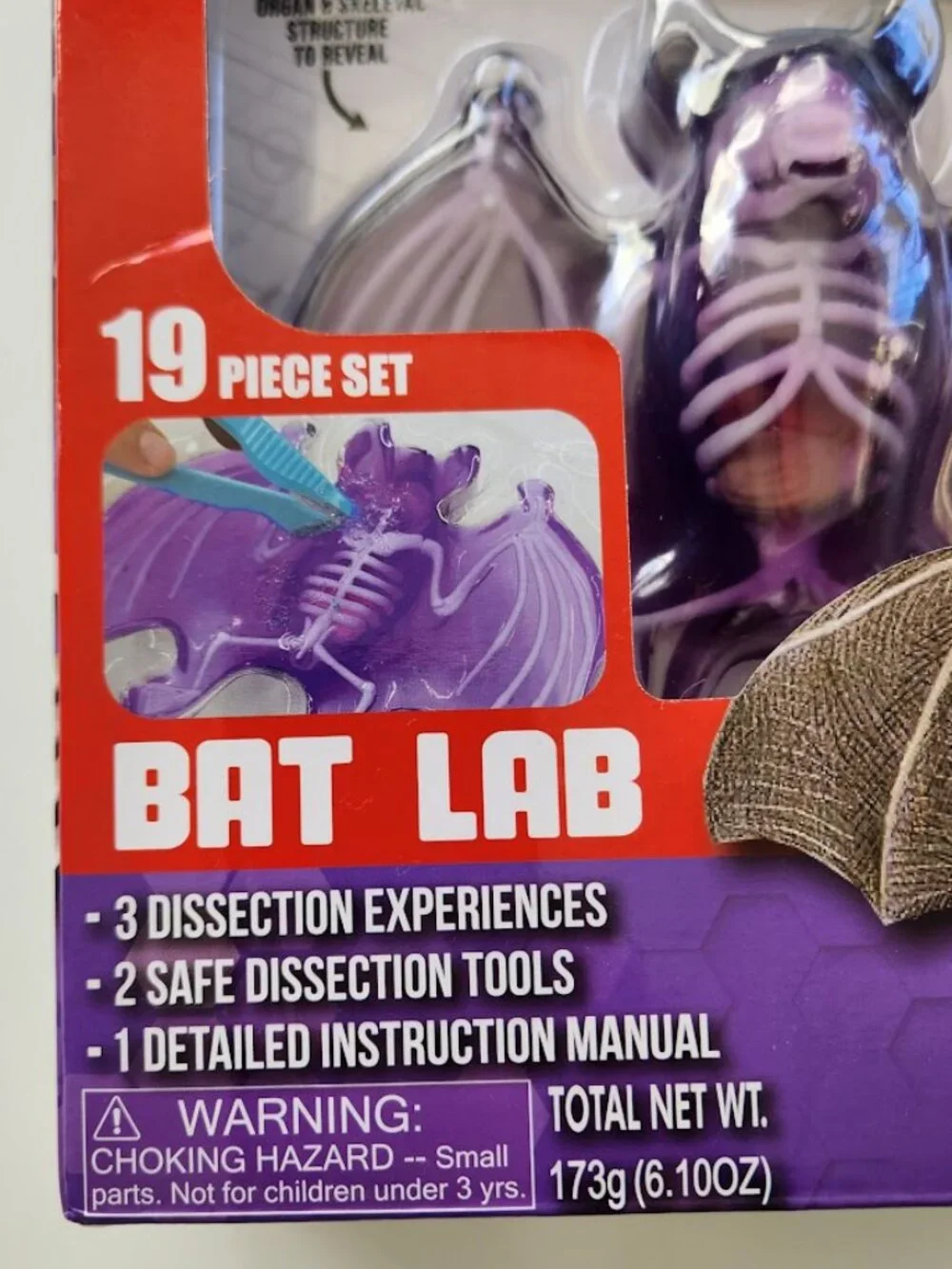 NEW Dissect-it Synthetic Lab Dissection Toy STEM KIT CRAFT Project Bat Biology A